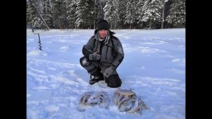 ВСЕ НАЧАЛОСЬ С ЭТОЙ МОЩНОЙ ПОКЛЕВКИ.ЗИМНЯЯ РЫБАЛКА НА МОРМЫШКУ НА  ЯМАЛЕ.ДЕКАБРЬ 2019.