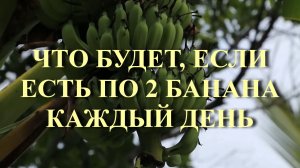 ЧТО БУДЕТ, ЕСЛИ ЕСТЬ ПО 2 БАНАНА КАЖДЫЙ ДЕНЬ