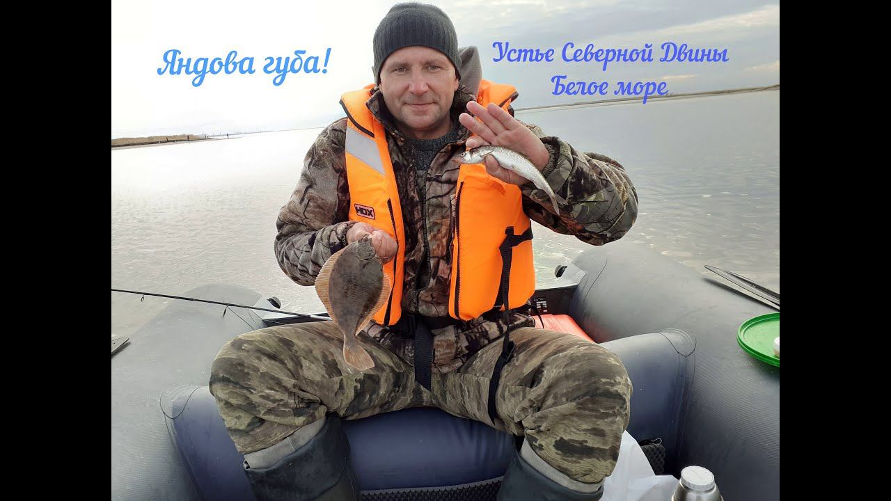 Корюшка и немного красивой наваги! Белое море! смотреть онлайн