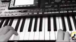 —Волки мы в ночных лесах ( 🎹 )#волкимывночныхлес