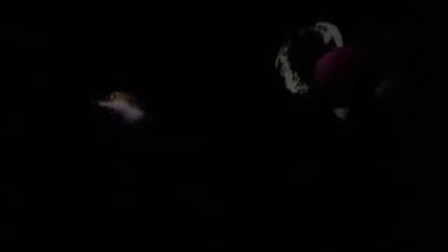 Калуокахина Зачарованный Риф.mp4 смотреть онлайн