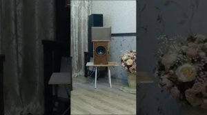 Сравнение двух динамиков 4гд-35