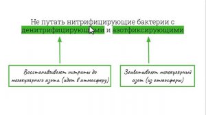 ХЕМОСИНТЕЗ