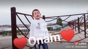 Онажоним сизни Согиндим