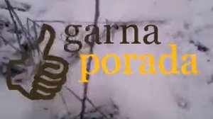 Как защитить деревья от зайцев (молодой сад зимой)