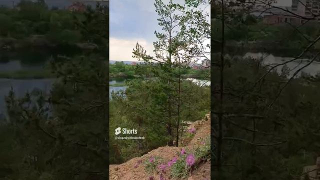 #лето #этонашелето
