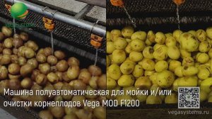 Машины полуавтоматические для мойки и очистки  корнеплодов Vega MOD F 1200