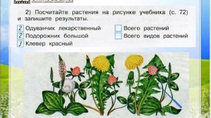 Задание 2 (2) Разнообразие растений - Окружающий мир 3 класс (Плешаков А.А.) 1 часть