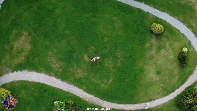 Давинчи парк. День 2. Семья в гостях на ДР смотреть онлайн