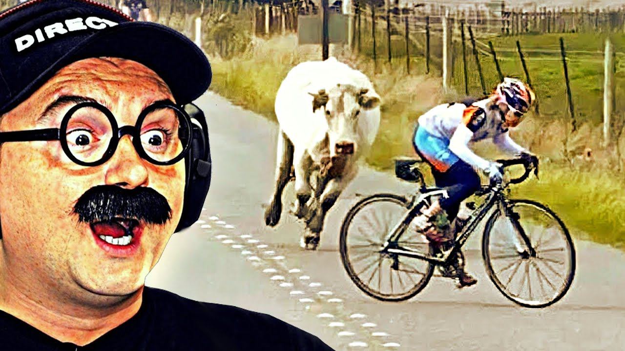 ВЕСЕЛЫЕ ВИДОСИКИ которые ПОДНИМАЮТ НАСТРОЕНИЕ 9