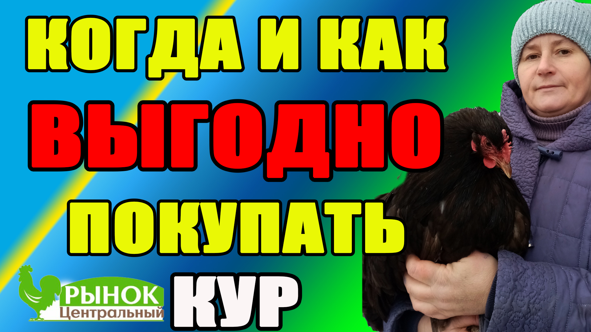 Когда и как ВЫГОДНО покупать кур. Мои СЕКРЕТЫ при покупке кур и цыплят.