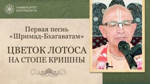 6. Цветок лотоса на стопе Кришны. Фрагмент из курса "Обзор ШБ" 2024. БВГМ