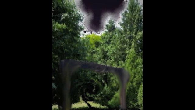 haze valley crows - the door смотреть онлайн