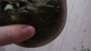 Готовлю травы для бани