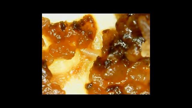 Cтрашный червь в яблоке. A terrible worm in the Apple. смотреть онлайн