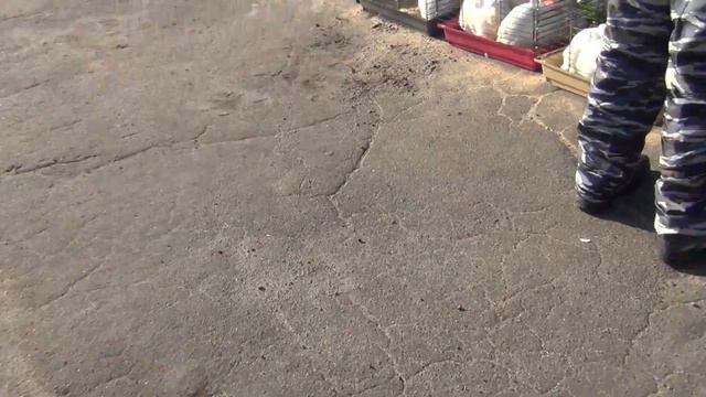 г Орёл ярмарка птицы и животных 16 10 2021г 2 смотреть онлайн