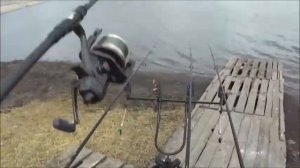 сигнализатор