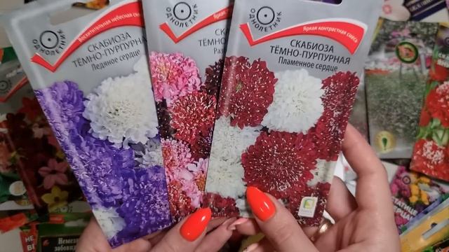 СУПЕР НЕПРИХОТЛИВЫЕ, а ЦВЕТУТ ДО ЗАМОРОЗКОВ! Посейте ЭТИ ЦВЕТЫ в АПРЕЛЕ!