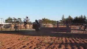 HOW TO RIDE A BULL-GARRETT