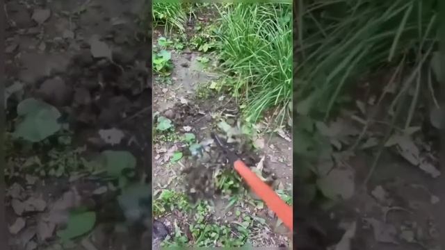 weeding rake tool смотреть онлайн