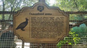 Парк Лога 2021 Лучший парк Logа Park