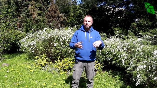 СЕКРЕТ САМОГО ПОПУЛЯРНОГО НАРОДНОГО УДОБРЕНИЯ! Используйте его и будете всегда с урожаем!