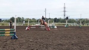 Showjumping + описание/конный спорт/ByWindyFriz