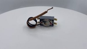 Термостат защитный для водонагревателя Thermex