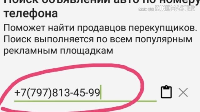 Почему важно знать гос номер автомобиля