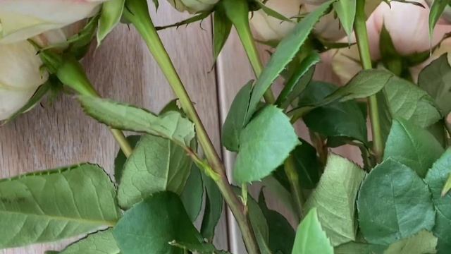 Ваза с пожеланиями и огромные розы. смотреть онлайн