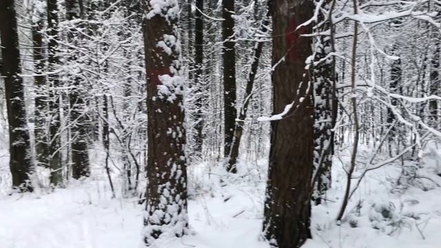 Жена попросила соседа о помощи и отблагодарила его.Жизненные истории.Любовные истории.Аудио рассказ