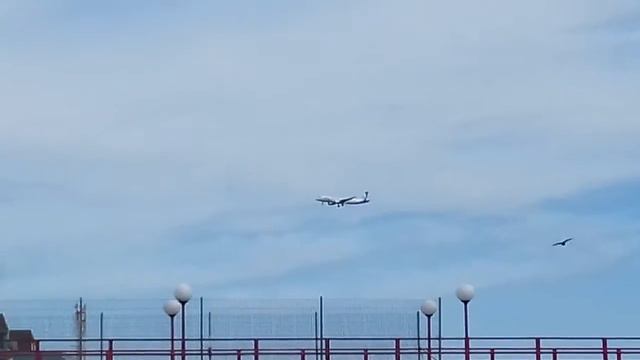 Самолет садиться на посадку Адлер смотреть онлайн