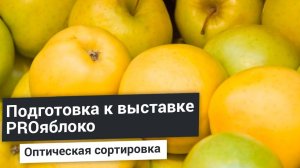 Линия оптической сортировки яблок на 5 т/ч установили в России: по цвету, диаметру и весу