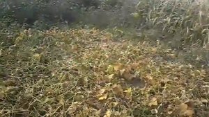 Как побороть алкогольную тягу. Два способа бросить пить алкоголь.