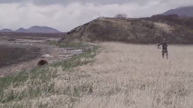 Охота на медведя смотреть онлайн