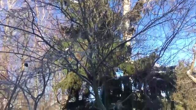 Опасность рядом.mp4