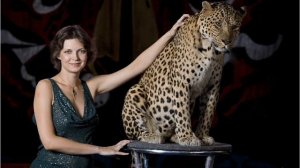 "Мельница" Песня "ШЕЛКОПРЯД"