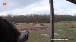 МР-155 (стоковое) Vs Beretta Belmonte Обучение #деревянного на стенде Дубрава!