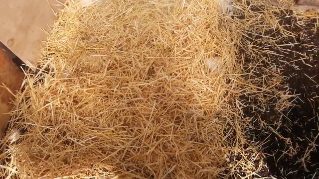 Что посадить в апреле? смотреть онлайн