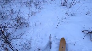 Камчатка. Охота на зайца 31 декабря.