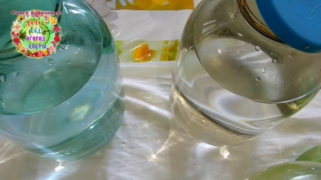 Срочно -срочно размножить биопрепараты Гаупсин и Трихофит и защитить растения от заболеваний. смотреть онлайн