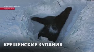 Жители Ленобласти отмечают праздник Крещение Господне