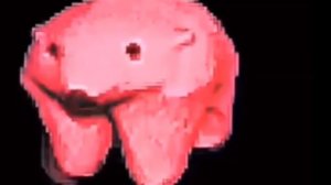 Гонщик нелегальный (remix)