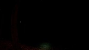 Яркий луч V450-ii, CatEye HL-EL540 RC, HJ-052, WheelUp V9D-1600 (аналог Gaciron V9D-1600)