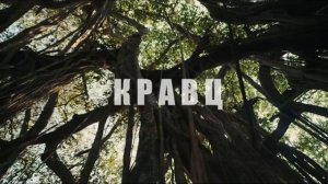 Где прошла ты (1 час)