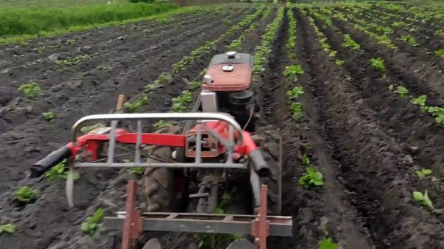 2 червня 2021 р. смотреть онлайн