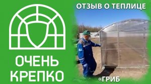 Отзыв о необычной теплице "Гриб"