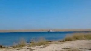 удалось заснять Лохнесское чудовище