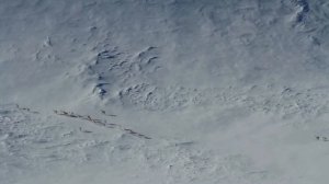 Марат Фазуллин (саксофон) - татарская народная песня Тафтиляу