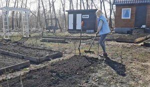 ПОДГОТАВЛИВАЮ УЧАСТОК К ДАЧНОМУ СЕЗОНУ/КРАШУ/ПЕРЕКАПЫВАЮ ОГОРОД/СОБИРАЮ ЛИСТВУ